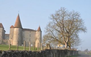 Chateau in the Charente